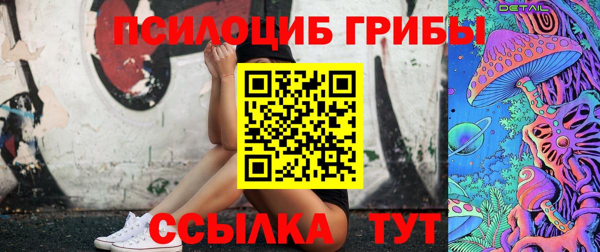 Острогожск  Галлюциногенные грибы прущие грибы  Вход с VPN 
