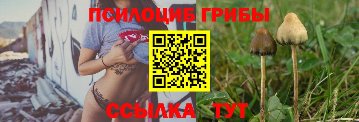 Псилоцибиновые грибы ЛСД Острогожск