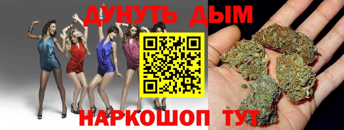 Бошки Шишки семена Острогожск