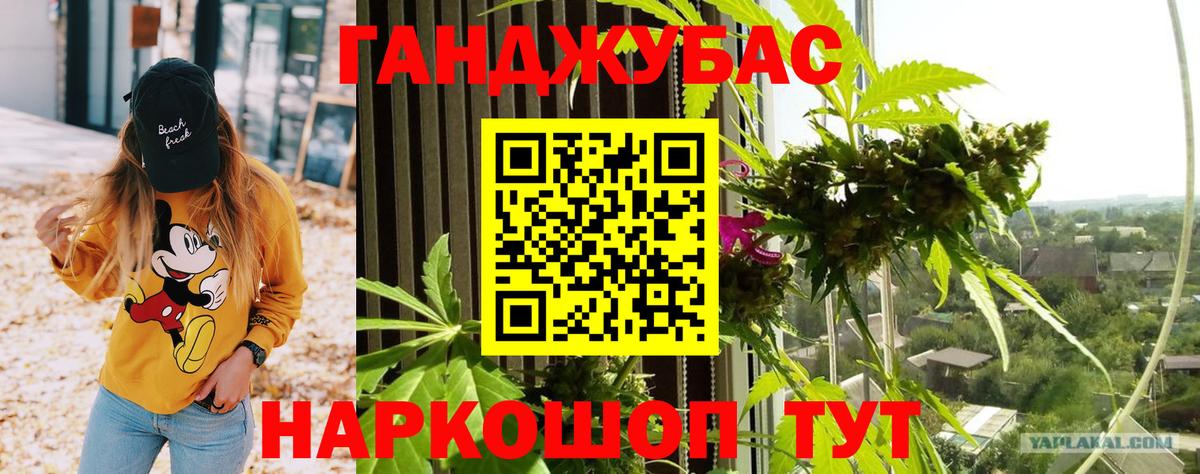Каннабис планчик  Конопля VHQ  Марихуана план  Вход с VPN  Острогожск  МАРИХУАНА SATIVA & INDICA 